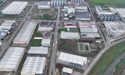 Samsun’dan dünyaya açılan kapı! 110 ülkeye ihracat