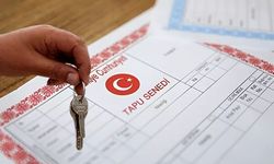 Tapuda iki taraf da sorumlu! Yüzde 100 ceza geliyor