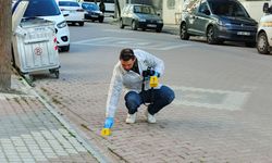 Tartışma sokağa taştı: Samsun’da “kız meselesi” kanlı bitti!