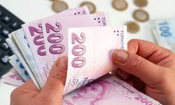 Türkiye'de iki üründe vergi sıfırlandı