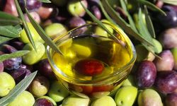 Türkiye'nin 40 yıllık zeytin firması konkordato ilan etti