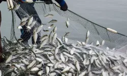 Yakakent’te Balıkçılık Geleneği ve Mutfak