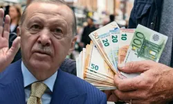 Yurt dışında altın ve parası olanlar dikkat! Cumhurbaşkanı Erdoğan müjdeyi verdi