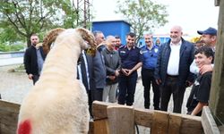 Canik Belediyesi Kurban Pazarı'na yoğun ilgi