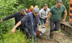 Samsun’da define faciası! Hayatını kaybetti