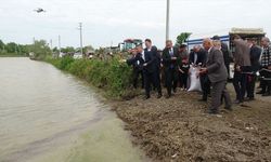 Bafra Ovası’nda çeltik mesaisi başladı