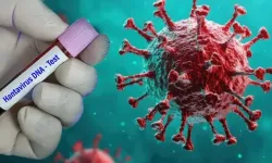 Hantavirüs endişesi büyüyor: Vakalar farklı ülkelerde görüldü