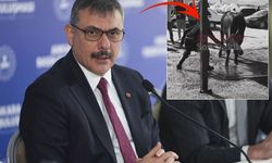 Ankara’da kurban kesim görüntüleri tepki çekti