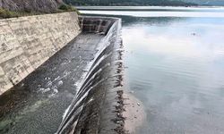 Karadeniz'de taşkın riski! Yüzlerce hane tahliye edildi