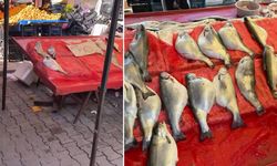 Kilosu 50 TL'ye satılıyor! Gıda mühendisi uyardı: "Sakın almayın"