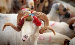 Kurban Bayramı'na kaç gün kaldı? Kurban Bayramı hangi güne denk geliyor?