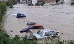 Nisan ayında dikkat çeken veri! Samsun da listede