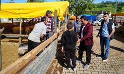 Samsun'da bayram coşkusu: Kurban pazarında yüzler gülüyor!