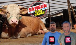 Samsun'da besicilerden vatandaşlara kritik kurbanlık uyarısı!