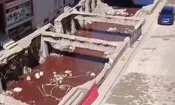 Samsun’da dereyi kana bulayan işletmeye ceza yağdı!