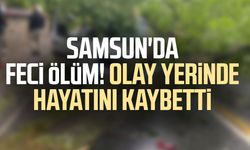 Samsun'da devrilen ağaç can aldı! Sadık Etli hayatını kaybetti
