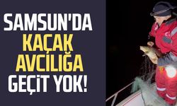 Samsun'da kaçak avcılığa geçit yok! 2 bin metre ağ ele geçirildi