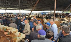 Samsun’da kurban pazarında hareketlilik