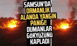 Samsun'da ormanlık alanda araç yangını! Dumanlar gökyüzünü kapladı