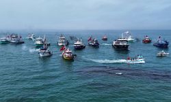Samsun’da Türk somonu rüzgarı! İhracatta dev hedef