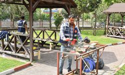 Tekkeköy’de park ve sosyal alanlarda bakım çalışması
