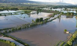 Yeşilırmak taştı! Tarım arazileri göle döndü