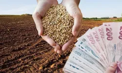 2026 yılı hububat alım fiyatları açıklandı
