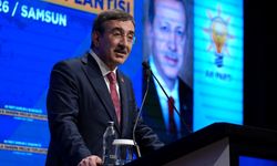 Cumhurbaşkanı Yardımcısı Cevdet Yılmaz'dan Samsun modeli vurgusu
