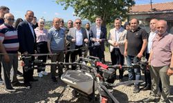 Samsun'un çeltik merkezinde yoğun mesai