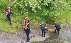 Samsun'da nefes kesen kurtarma! 3 düve için seferber oldular
