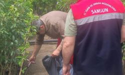 Samsun'da üretim güvenliği için kapsamlı denetim