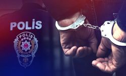 Aralarında Samsun da var! Beyaz et sektörüne dev operasyon