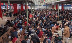 Ayvacık'ta şenlik coşkusu! Binler aynı alanda buluştu