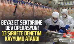 Beyaz et sektörüne dev operasyon! 13 şirkete denetim kayyumu atandı