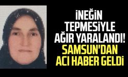 Samsun'da tedavi görüyordu! Meral Kılavuz hayatını kaybetti