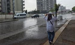 Karadeniz'de 66 yıllık rekor! Samsun dikkat çekti