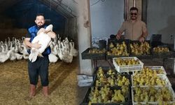 Samsun'da yeni kalkınma hamlesi! Hedef yüzlerce aileye gelir