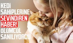 Kedi sahiplerine sevindiren haber! Ölümcül sanılıyordu