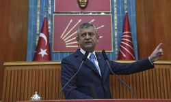 Kuracağı yeni partinin isminden sonra logosu da sızdı