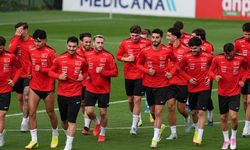 Milli Takım'a devşirme forvet iddiası! Gündemde Rhian Brewster var