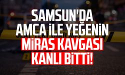 Samsun'da amca ile yeğenin miras kavgası kanlı bitti!