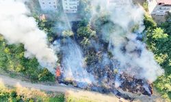 Samsun'da anız yangını korkuttu! İtfaiye zamanla yarıştı