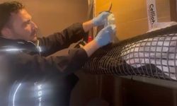 Samsun’da durdurulan tırdan 129 bin hap çıktı!