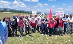 Samsun'da GES gerilimi! Köylüler mera için ayakta