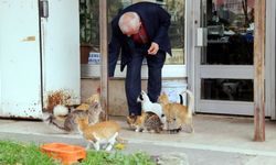 Samsun'da "Kedilerin Dedesi" yürekleri ısıttı