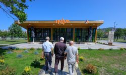 Samsun'da yaşlı çınarlar için "Nefes" zamanı