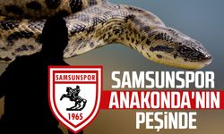 Samsunspor'da Mostafa Mohamed sesleri