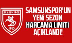 Samsunspor'un yeni sezonda harcama limiti belli oldu!
