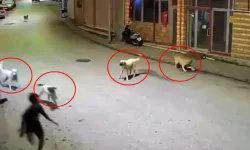10 yaşındaki çocuk dehşeti yaşadı!