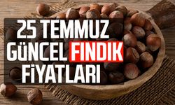 25 Temmuz 2026 güncel fındık fiyatları